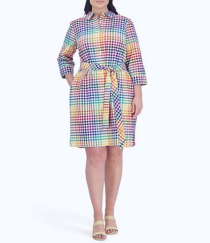 Foxcroft Plus Size Rocca Rainbow Gingham Point Collar 3/4 Sleeve Tie Waist Dress