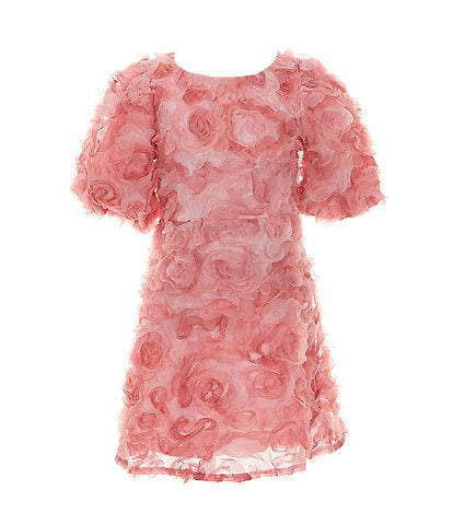 GB Social Little Girls 2T-6X Puff Short-Sleeve Rosette Dress