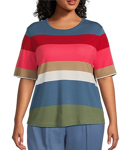 Investments Plus Size Multi Stripe Short Sleeve Crew Neck Knit Top