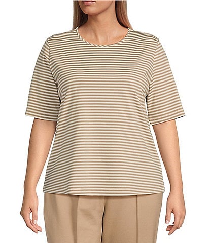 Investments Plus Size Short Sleeve Crew Neck Stripe Knit Top