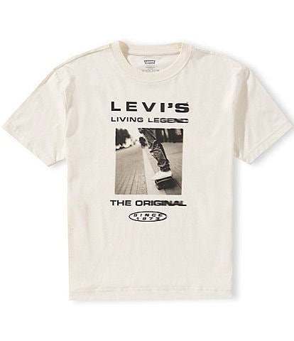 Levi's Big Boys Short Sleeve Skate Legend Tee