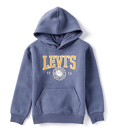 Levi's® Little Boys 2T-4T Long Sleeve Graphic Varsity Hoodie