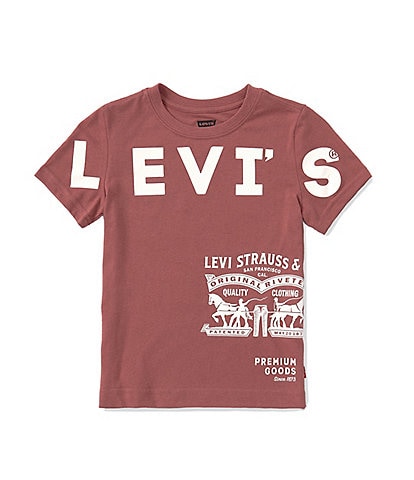 Levi's® Little Boys 4-7 Short Sleeve Everyday Essential T-Shirt