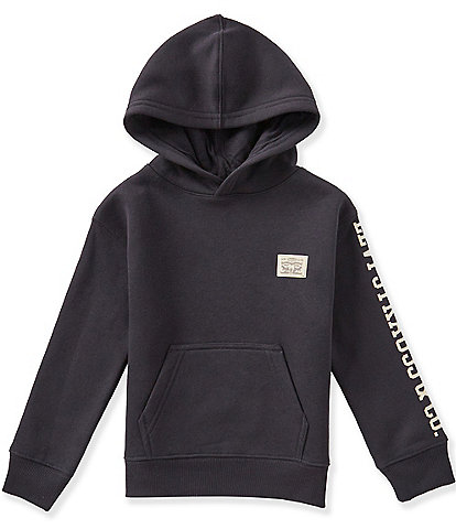 Levi's® Little Boys Long Sleeve Hit Pullover Hoodie