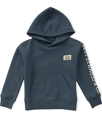 Levi's® Little Boys Long Sleeve Hit Pullover Hoodie