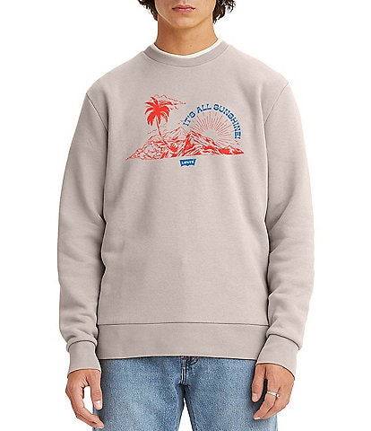 Levi's® Long-Sleeve Bi Americana Crew Sea Salt Sweatshirt