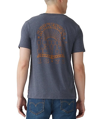 Levi's® Men's Classic Authentic Graphic T-Shirt