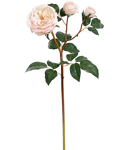 Mark Roberts Cabbage Rose, Box of 12 - 23 Inches