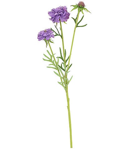 Mark Roberts Chervil, Boxed Set of 12