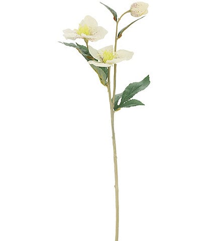 Mark Roberts Helleborusspp Floral, Boxed Set of 12