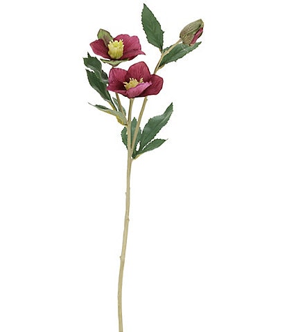 Mark Roberts Helleborusspp Floral, Boxed Set of 12