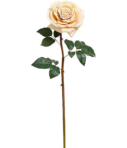 Mark Roberts Mature Rose, Boxed Set of 12