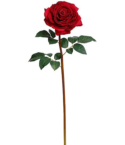 Mark Roberts Mature Rose, Boxed Set of 12