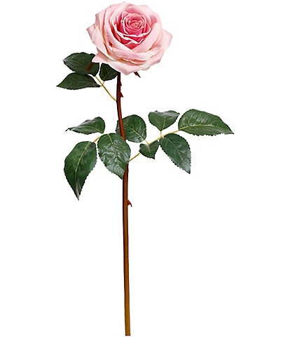 Mark Roberts Prize Rose, Boxed Set of 12