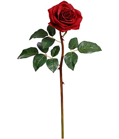 Mark Roberts Prize Rose, Boxed Set of 12
