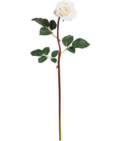 Mark Roberts Tea Rose, Boxed Set of 12