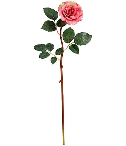 Mark Roberts Tea Rose, Boxed Set of 12