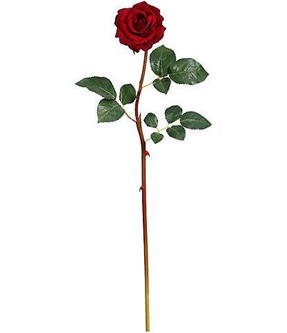 Mark Roberts Tea Rose, Boxed Set of 12