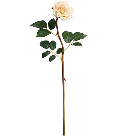 Mark Roberts Tea Rose, Boxed Set of 12