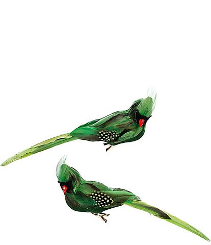 Mark Roberts Tropical Bird Decor, Box of 6