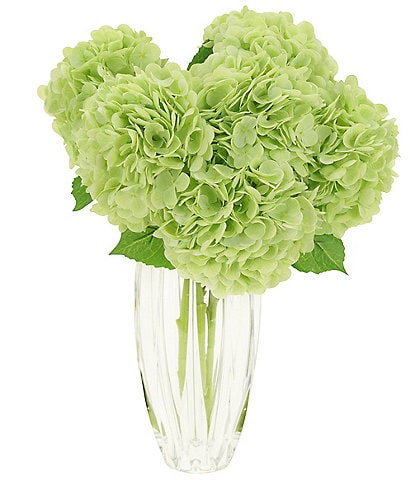 Mark Roberts Vibrant Hydrangea Natural Touch Steams
