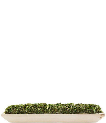 Mud Pie Classic Home Collection Preserved Moss Wooden Tray
