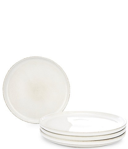 Noble Excellence Aurora Collection Dinner Plates, Set of 4