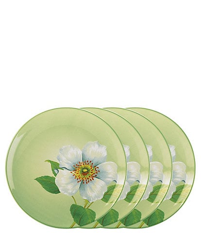Noritake Colorwave Apple Climbing Rose Accent Floral Plates, Set of 4