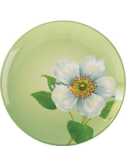 Noritake Colorwave Apple Climbing Rose Floral Accent/Luncheon Plate