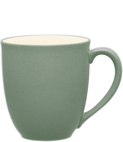 Noritake Colorwave Stoneware Mug