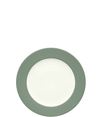 Noritake Colorwave Rim Salad / Dessert Plate