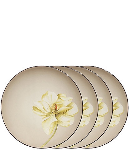 Noritake Colorwave Chocolate Magnolia Accent/Luncheon Floral Plates, Set of 4
