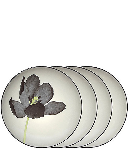 Noritake Colorwave Graphite Tulip Accent/Luncheon Floral Plates, Set of 4