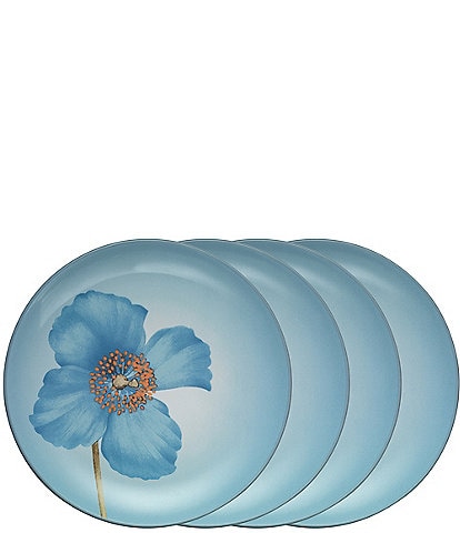 Noritake Colorwave Ice Poppy Accent/Luncheon Floral Plates, Set of 4