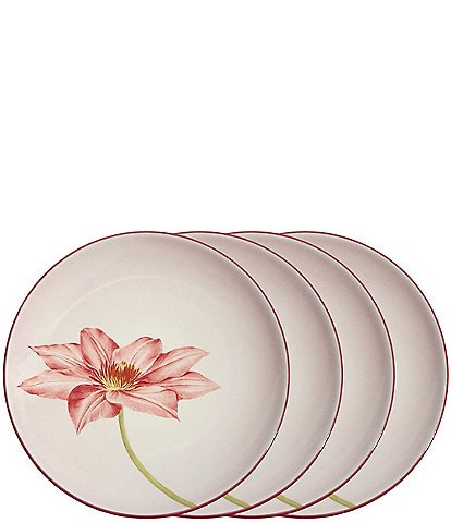 Noritake Colorwave Raspberry Clematis Accent/Luncheon Floral Plates, Set of 4