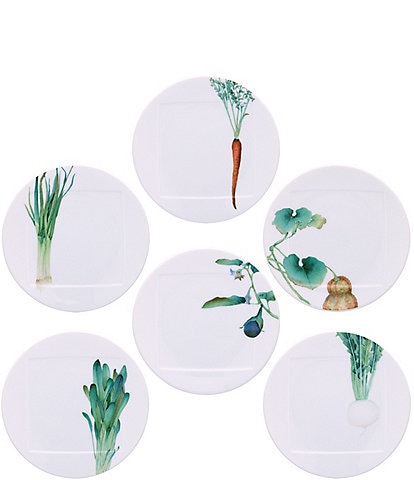 Noritake Kyoka Shunsai Collection Set of 6 Assorted Appetizer Plates