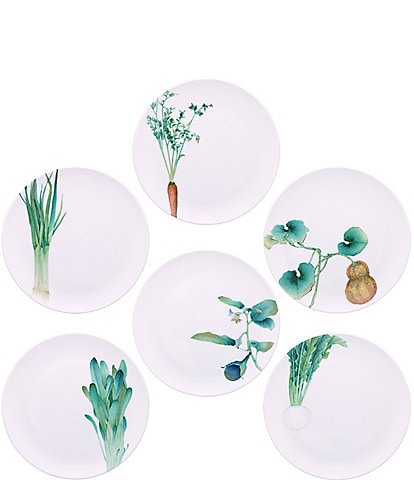 Noritake Kyoka Shunsai Collection Set of 6 Assorted Salad Plates