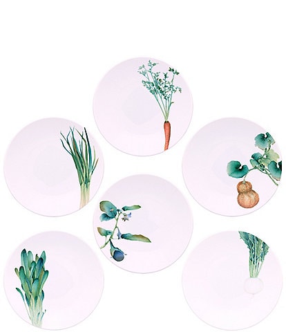 Noritake Kyoka Shunsai Collection Deep Plates, Set of 6