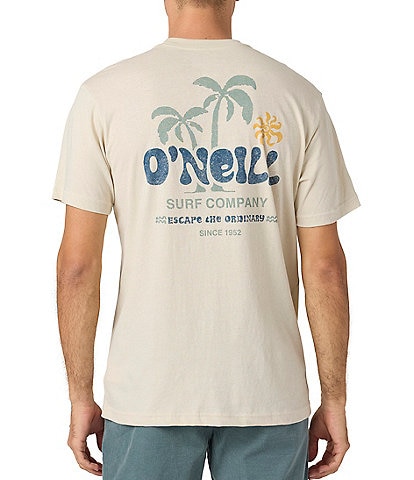 O'Neill Loose Short Sleeve T-Shirt
