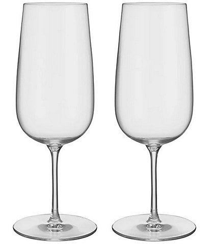 Orrefors Bjorn Frantzen Beer Glass, Set of 2