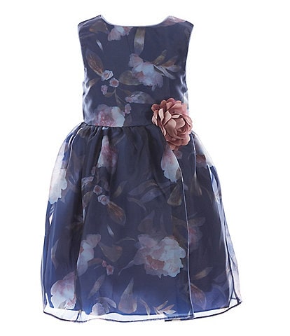 Pippa & Julie Little Girls 2T-6X Sleeveless Floral Mirror Organza Dress