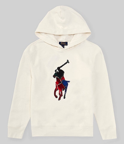 Polo Ralph Lauren Big Boys 8-20 Long Sleeve Full Zip Hoodie