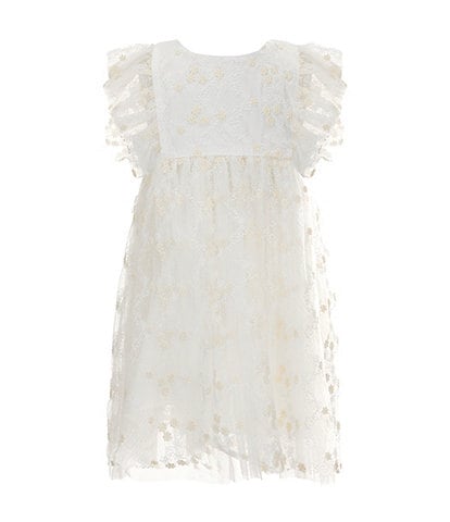 Popatu Little Girls 2-7 Flutter Sleeve Embroidered Mesh Fit & Flare Dress