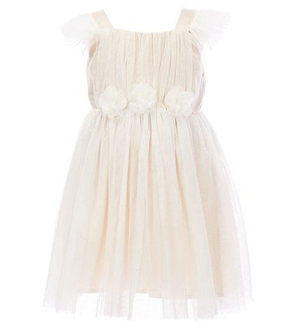 Popatu Little Girls 2-8 Tulle Flutter Sleeve Dress
