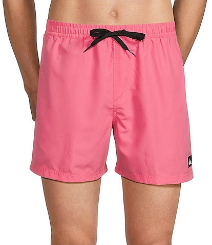 Quiksilver Everyday Solid 6#double; Inseam Volley Swim Trunks