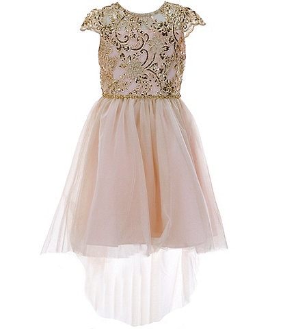 Rare Editions Big Girls 7-16 Cap Sleeve Sequin-Embellished /Sheer-Overlay Skirted Fit-And-Flare Dress