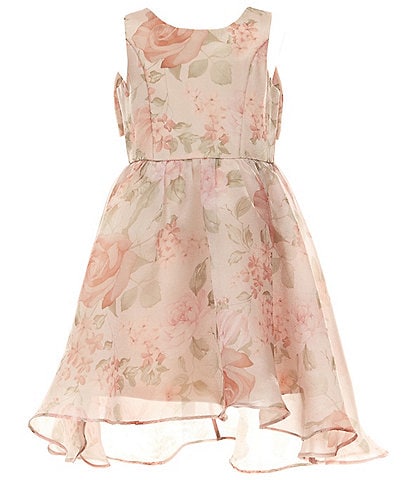 Rare Editions Big Girls 7-16 Sleeveless Floral Organza Fit-And-Flare Dress