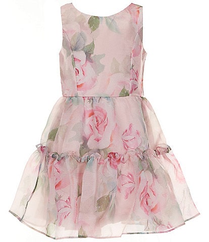 Rare Editions Big Girls 7-16 Sleeveless Floral Printed Organza Fit-And-Flare Dress