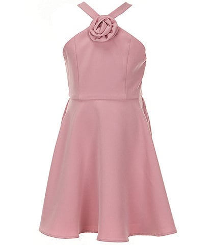 Rare Editions Big Girls 7-16 Sleeveless Rosette-Appliqued Mikado Fit-And-Flare Dress