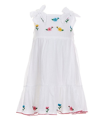 Rare Editions Little Girls 2T-6X Floral Embroidered Gauze Fit & Flare Dress